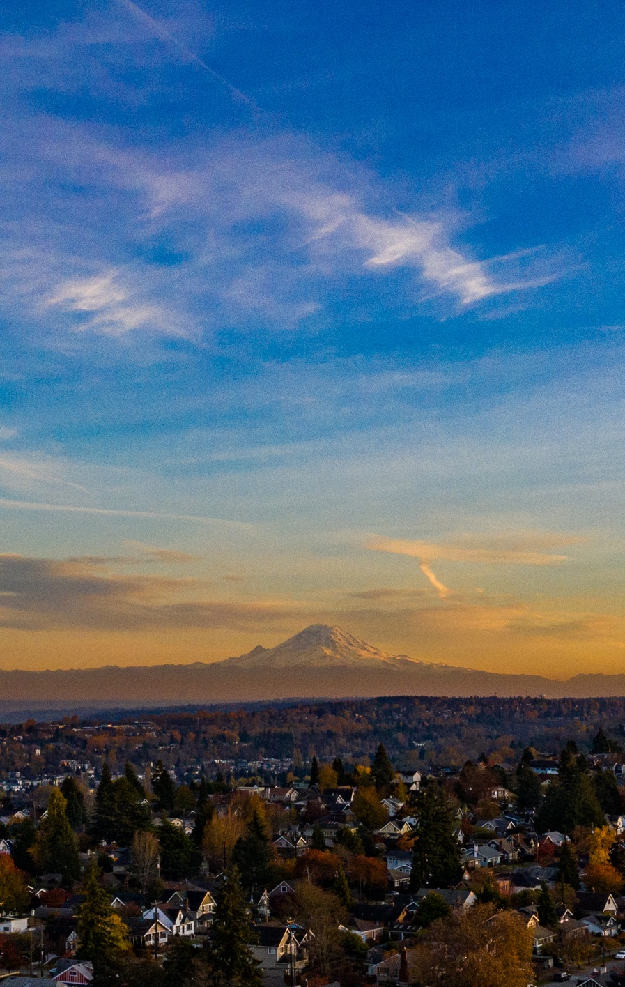 Luna West Seattle — image 37
